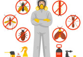 General Pest Control Services (Quarterly Plans)