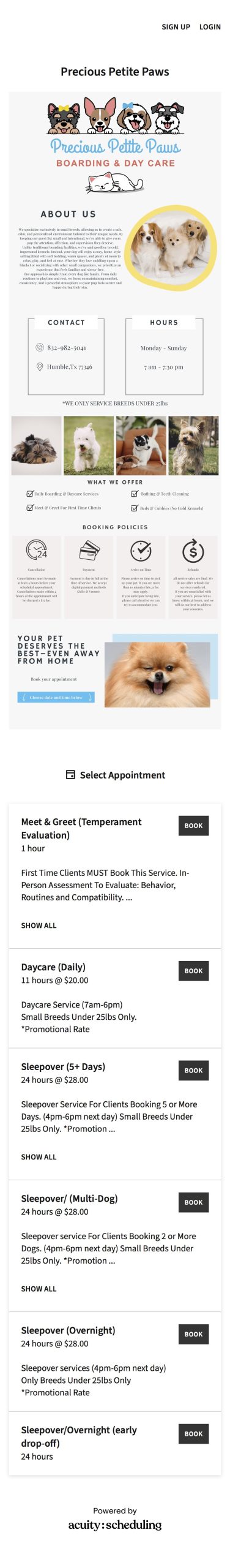 Acuity Website Design